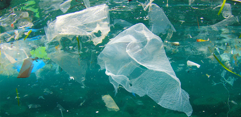 underwater plastic bags